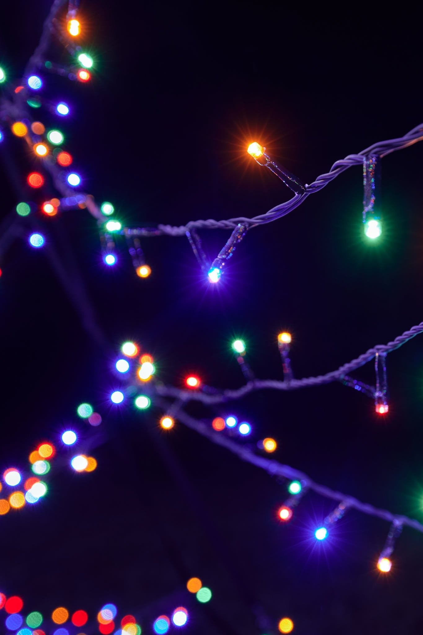 Fairybell | 6 metres | 1,200 LED lights | Multi colour