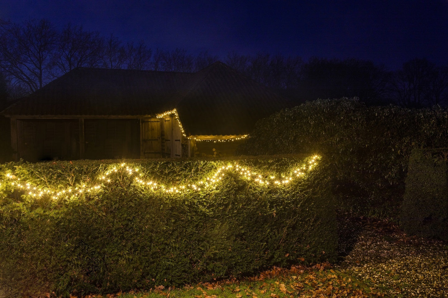 ProExtend Lichterketten Erweiterungssatz | 250 LED-Lampen | 2 Stück